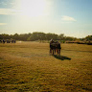 Meet your Posher, Nora